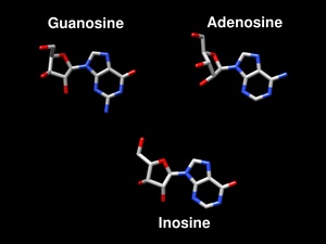 Inosine.png