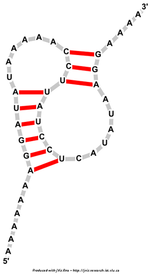 Pseudoknot.png