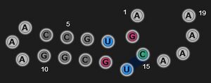 SpecialSeq1.jpg